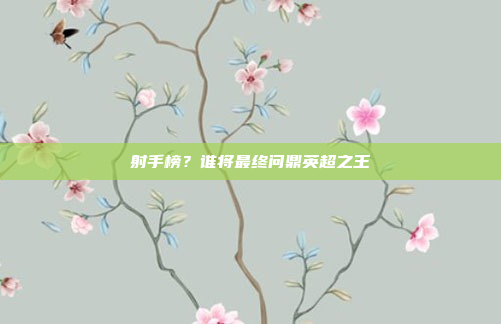 射手榜?谁将最终问鼎英超之王