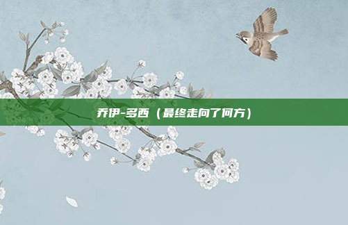 乔伊-多西(最终走向了何方)