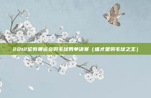 2012伦敦奥运会羽毛球男单决赛(谁才是羽毛球之王)