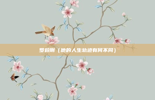 罗毅刚(他的人生轨迹有何不同)