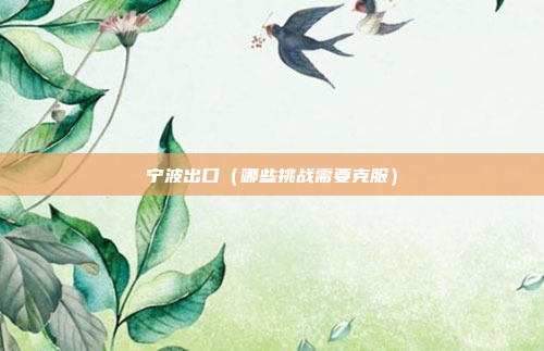 宁波出口(哪些挑战需要克服)