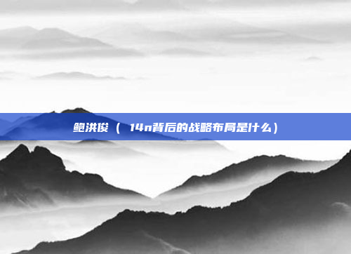 鲍洪俊( 14n背后的战略布局是什么)
