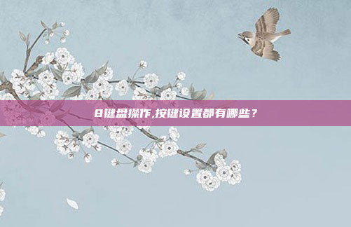 8键盘操作,按键设置都有哪些?