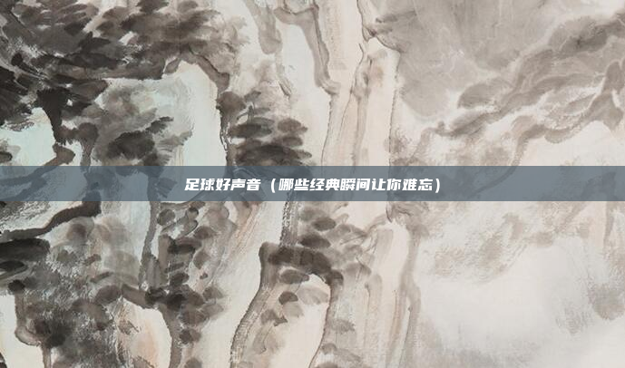 足球好声音(哪些经典瞬间让你难忘)