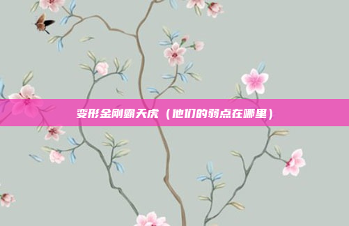 变形金刚霸天虎（他们的弱点在哪里）