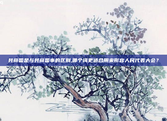 共商国是与共商国事的区别,哪个词更适合用来形容人民代表大会?
