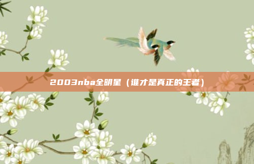 2003nba全明星(谁才是真正的王者)