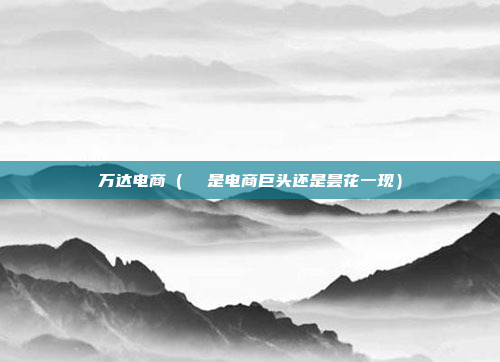 万达电商(  是电商巨头还是昙花一现)