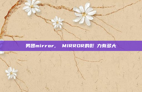 男团mirror,  MIRROR的影響力有多大