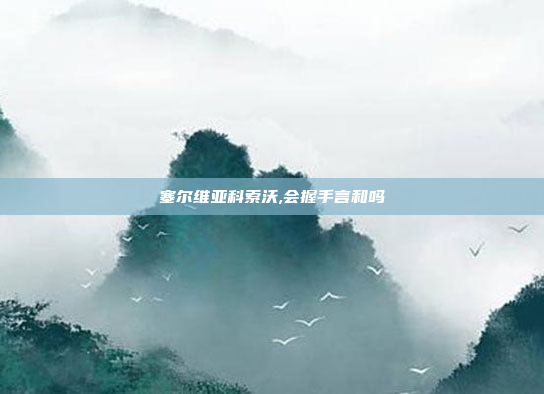 塞尔维亚科索沃,会握手言和吗