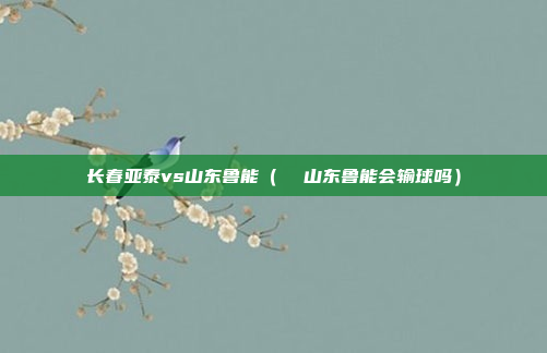长春亚泰vs山东鲁能(  山东鲁能会输球吗)