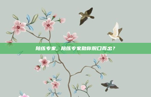 陪练专家, 陪练专家助你脱口而出?
