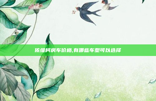 依维柯房车价格,有哪些车型可以选择