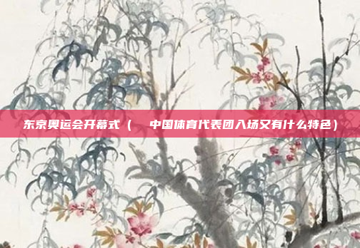 东京奥运会开幕式(  中国体育代表团入场又有什么特色)