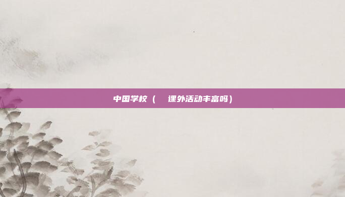 中国学校(  课外活动丰富吗)