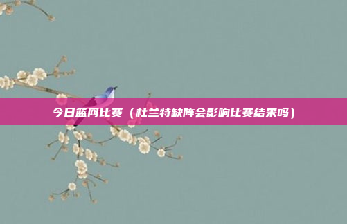 今日篮网比赛（杜兰特缺阵会影响比赛结果吗）