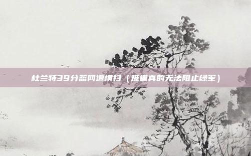 杜兰特39分篮网遭横扫(难道真的无法阻止绿军)