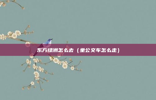 东方绿洲怎么去(坐公交车怎么走)