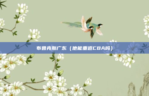 布鲁克斯广东（他能重返CBA吗）