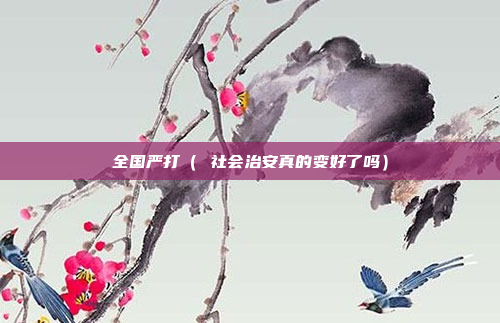 全国严打( 社会治安真的变好了吗)