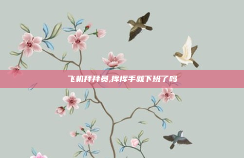 飞机拜拜员,挥挥手就下班了吗