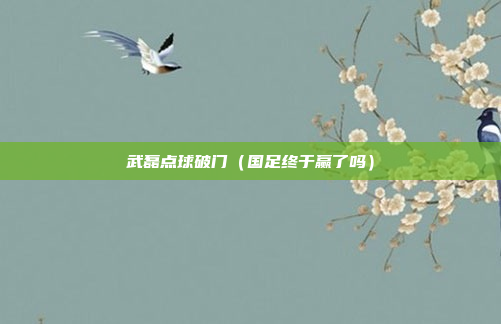 武磊点球破门(国足终于赢了吗)