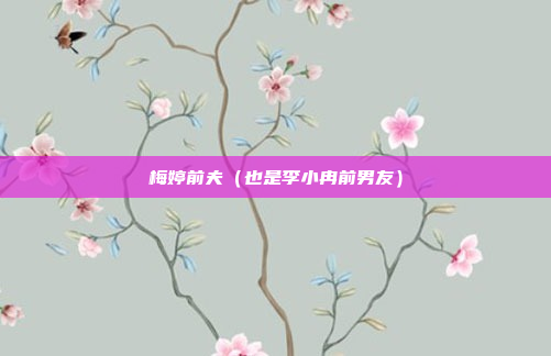 梅婷前夫(也是李小冉前男友)