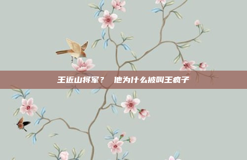 王近山将军? 他为什么被叫王疯子
