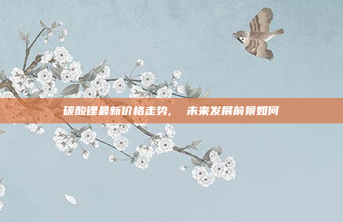 碳酸锂最新价格走势,  未来发展前景如何