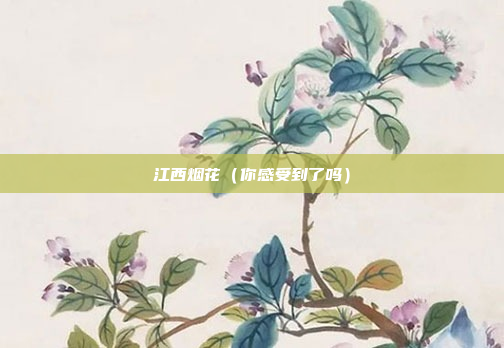 江西烟花(你感受到了吗)