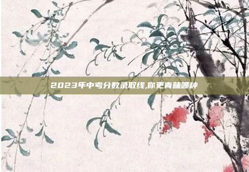 2023年中考分数录取线,你更青睐哪种