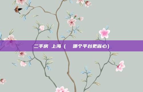 二手房 上海(  哪个平台更省心)