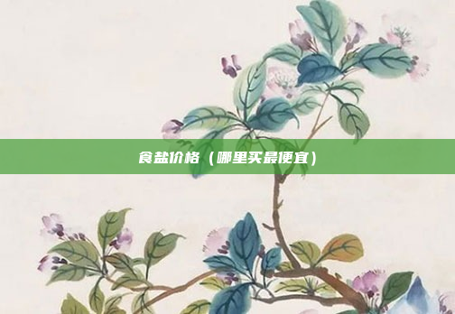 食盐价格（哪里买最便宜）