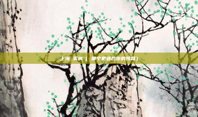 上海 买房( 哪个更适合你的预算)