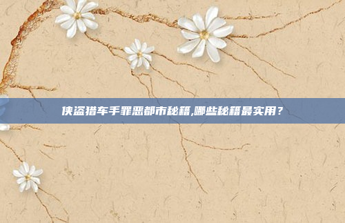 侠盗猎车手罪恶都市秘籍,哪些秘籍最实用？