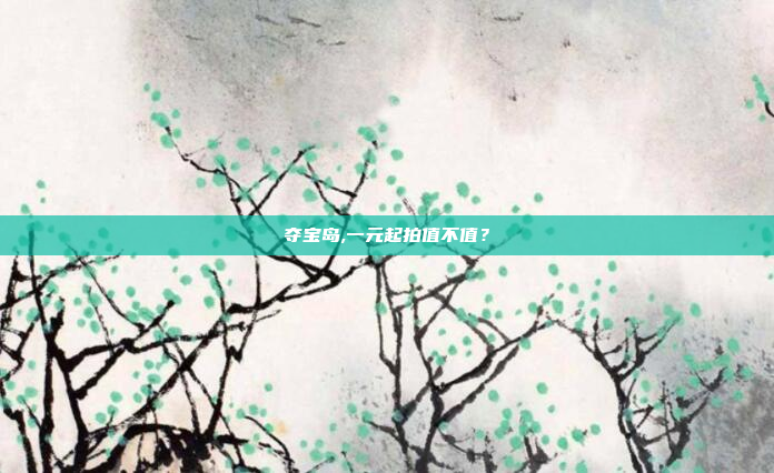 夺宝岛,一元起拍值不值?