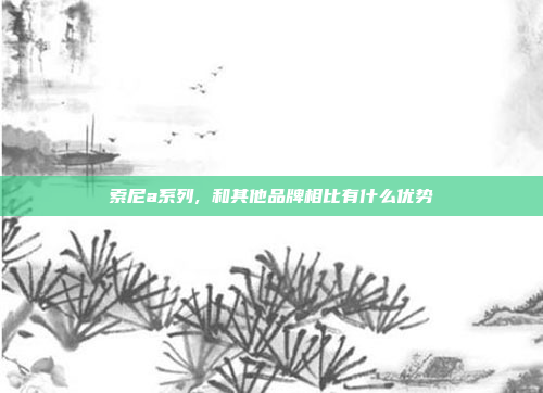 索尼a系列, 和其他品牌相比有什么优势