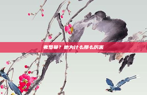 弗罗曼?他为什么那么厉害
