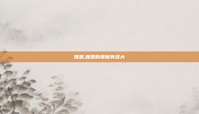 魏思,魏思的贡献有多大