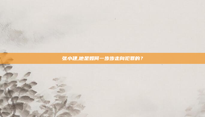 张小建,他是如何一步步走向犯罪的?