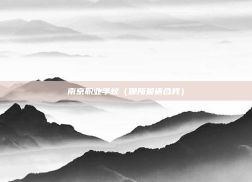 南京职业学校(哪所最适合我)