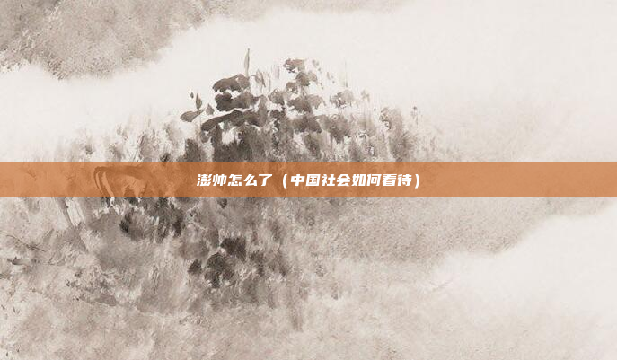 澎帅怎么了（中国社会如何看待）
