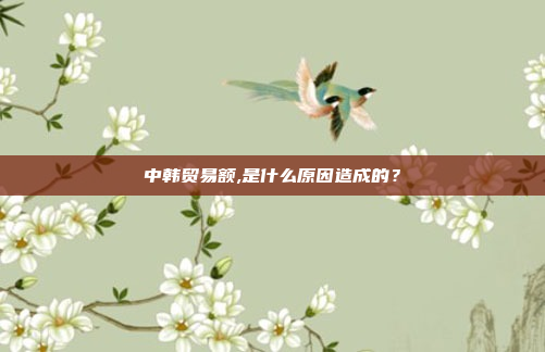 中韩贸易额,是什么原因造成的？