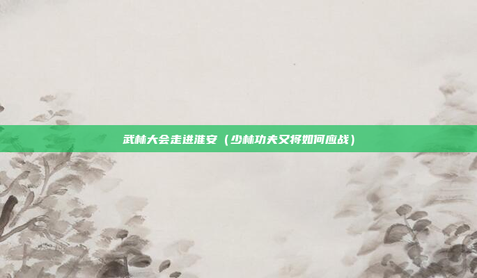 武林大会走进淮安(少林功夫又将如何应战)