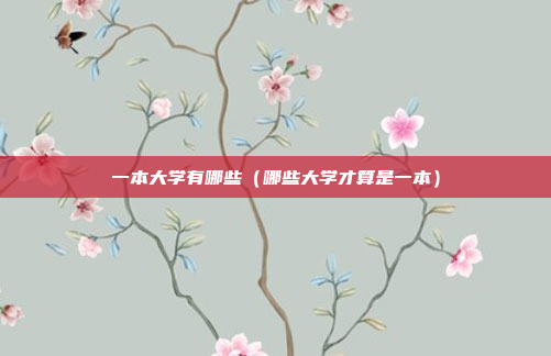 一本大学有哪些(哪些大学才算是一本)
