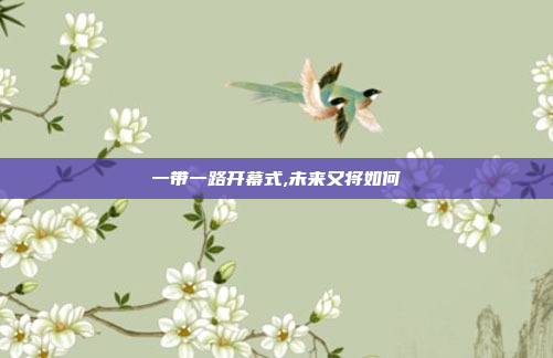 一带一路开幕式,未来又将如何