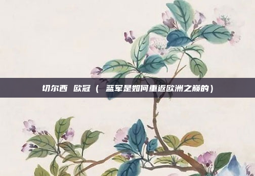 切尔西 欧冠( 蓝军是如何重返欧洲之巅的)