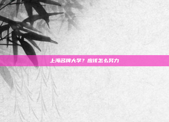 上海名牌大学?应该怎么努力