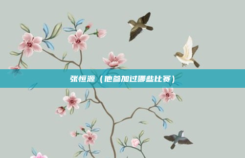 张恒源(他参加过哪些比赛)