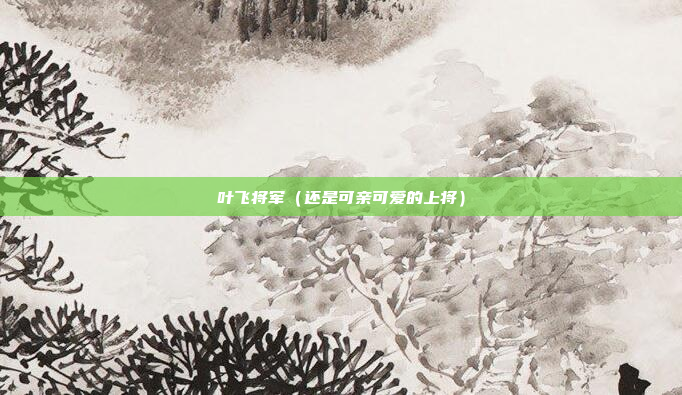 叶飞将军(还是可亲可爱的上将)